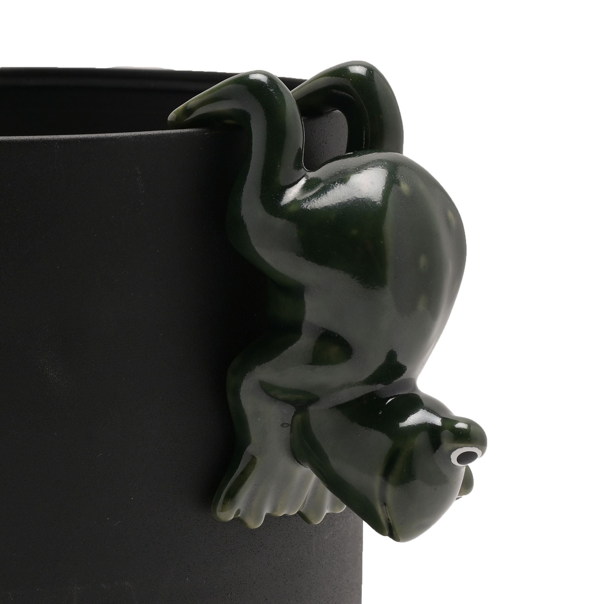 Black ceramic planter with a frog design on a white background