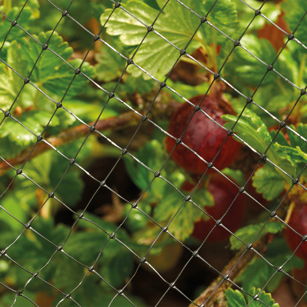 Grow It Protective Crop & Pond Netting 4m x 2m