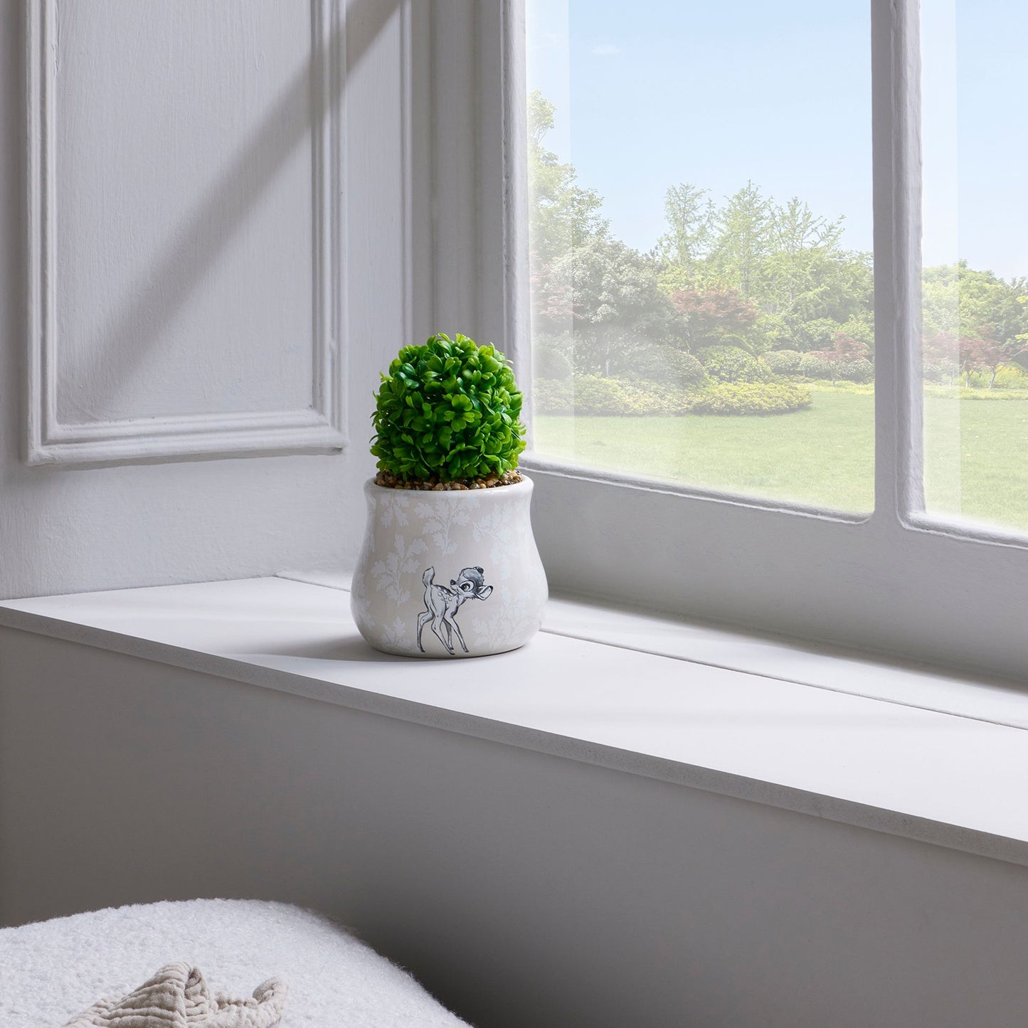Potted plant on a windowsill with a view of greenery outside