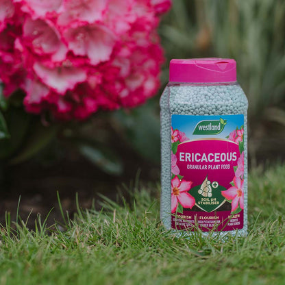 Bottle of Westland Ericaceous Granular Plant Food on grass with pink flowers in the background