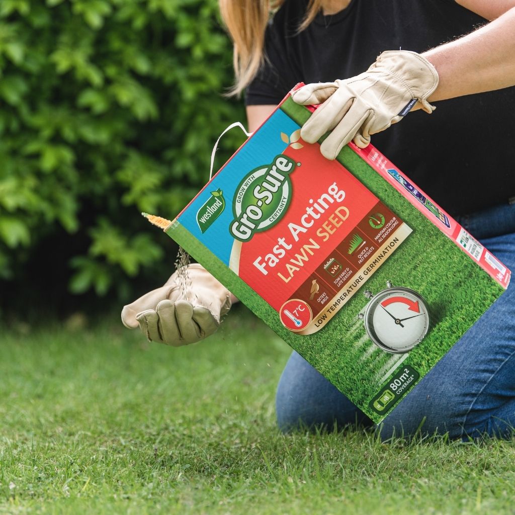 Person holding a Gro-Sure fast acting lawn seed packet on grass