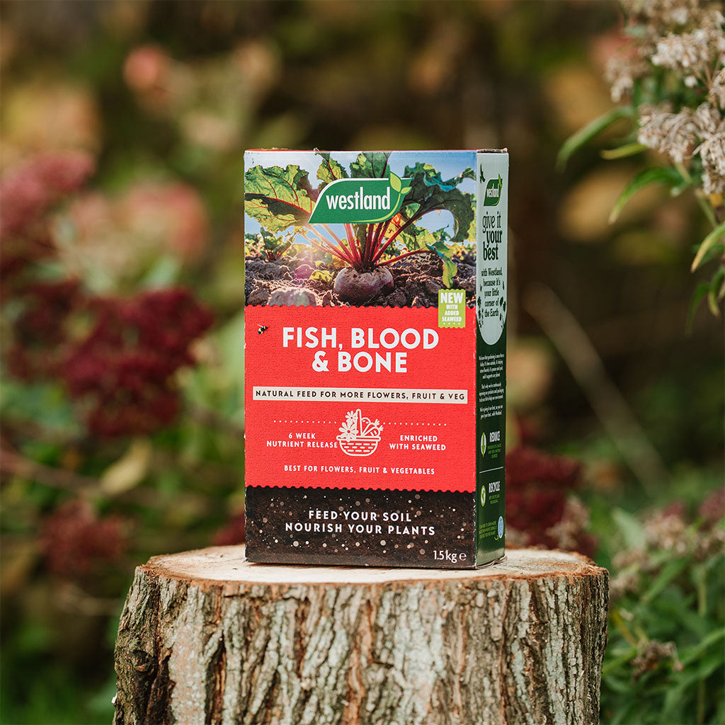 Westland Fish Blood & Bone fertilizer box on a wooden stump with a natural background