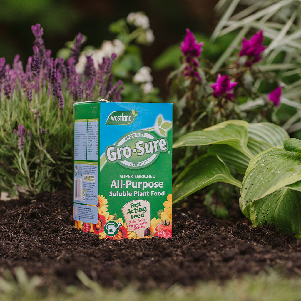 Gro-Sure plant food box in a garden setting with plants and flowers.