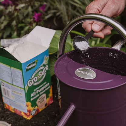Person adding Gro-Sure plant food to a purple watering can outdoors.