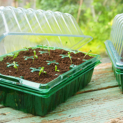 Westland Gro-Sure Visiroot Twin Propagator Set