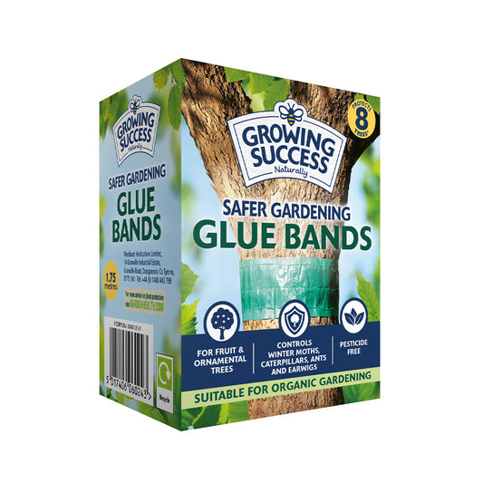 Growing Success Glue Band Trap