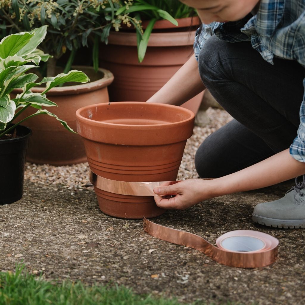 Growing Success Copper Tape