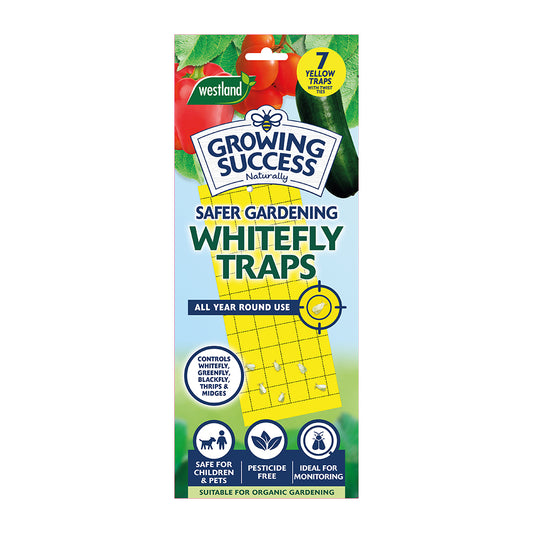 Growing Success Greenhouse Whitefly Traps