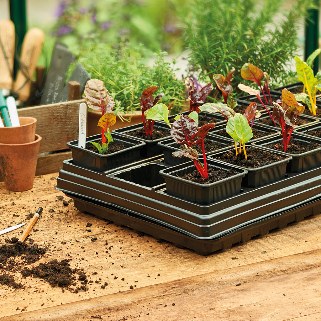 Grow It Growing Tray with 18 Square Pots on a wooden table planted with plants