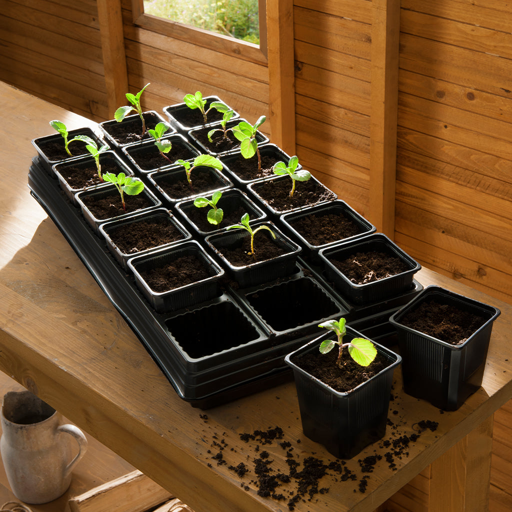 Grow It Growing Tray with 18 Square Pots on a wooden table planted with plants