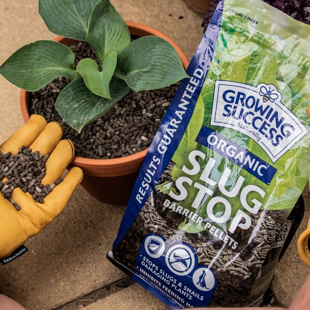 Growing Success Slug Stop Pellet Barrier 2.25KG on slabs next to a potted plant