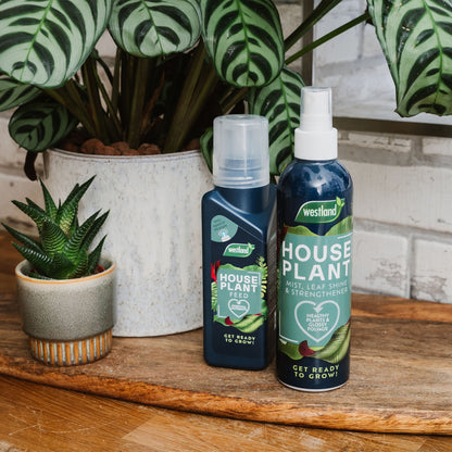 Westland Houseplant Mist & leaf Shine 250ml