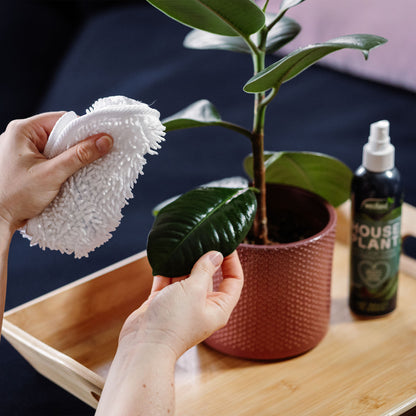 Westland Houseplant Mist & leaf Shine 250ml