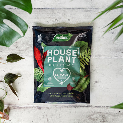 Westland Houseplant Potting Mix 10L on a wooden table