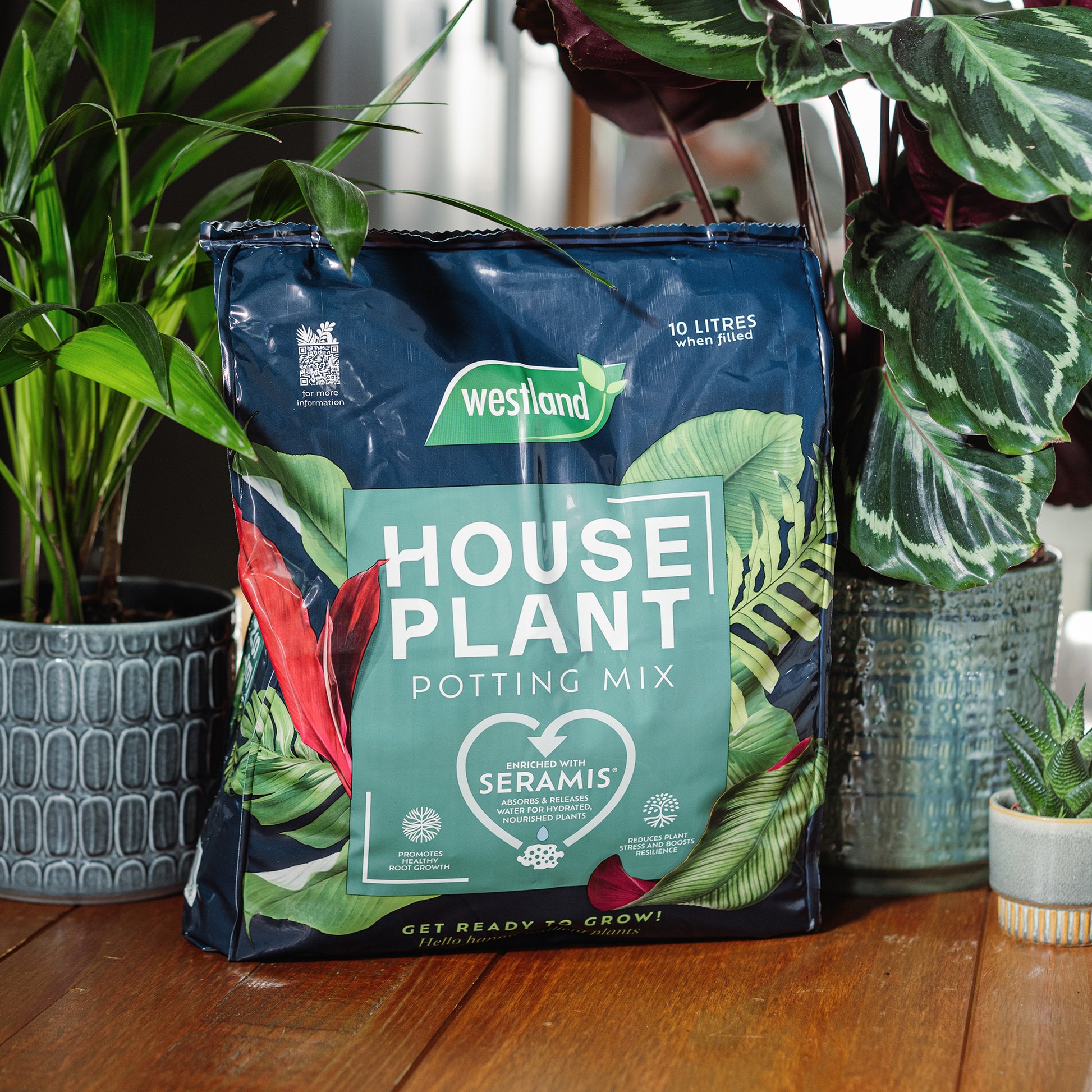 Westland Houseplant Potting Mix 10L next to potted plants