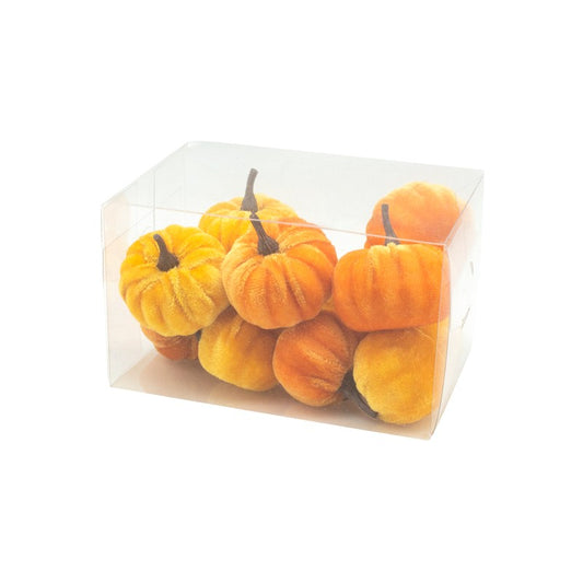 Clear box with small pumpkins inside on a white background