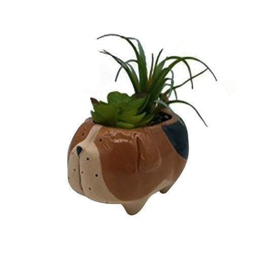 Ceramic dog-shaped planter with succulents on a white background