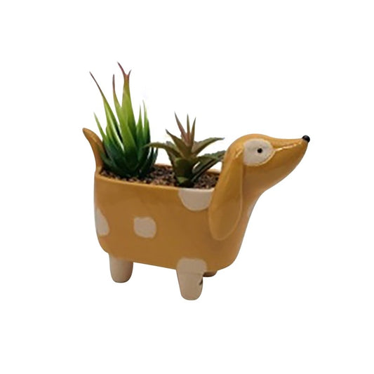 Dog-shaped planter with succulents on a white background