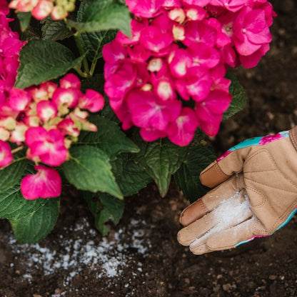 Westland Hydrangea Colourant 500g