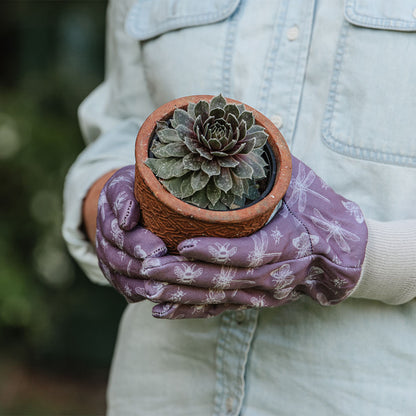 Person wearing gardening gloves holding a potted succulent plant.