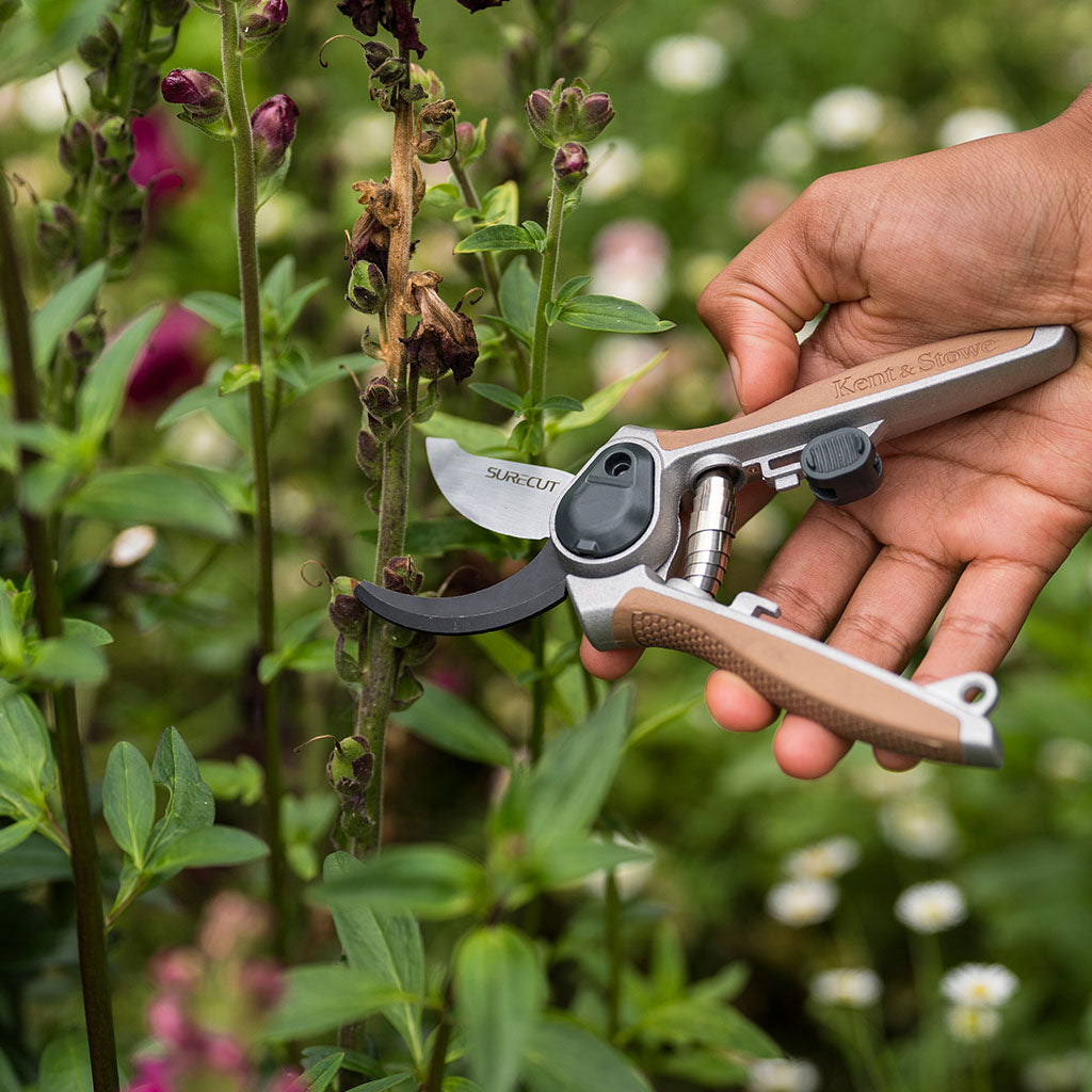 Hand using a garden tool on a plant with a blurred natural background
