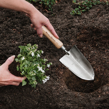 Person planting a small plant into the soil using a gardening trowel.