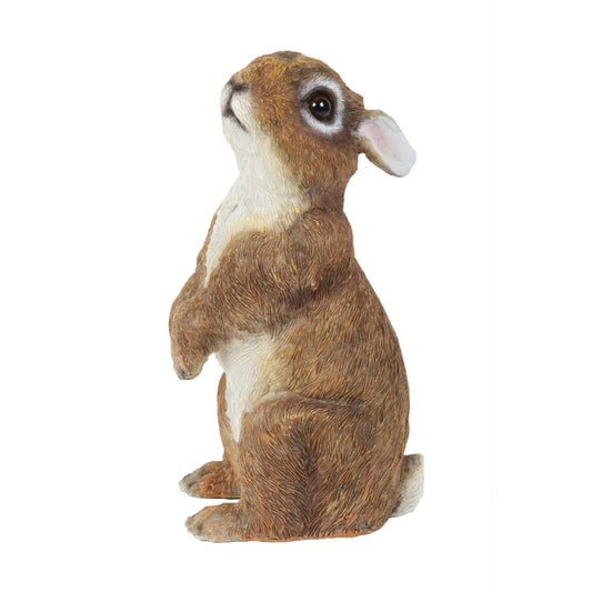 Plush toy rabbit sitting on a white background