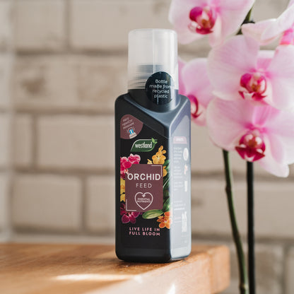 Westland Orchid Feed Concentrate 200ml