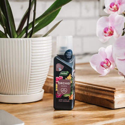 Westland Orchid Feed Concentrate 200ml