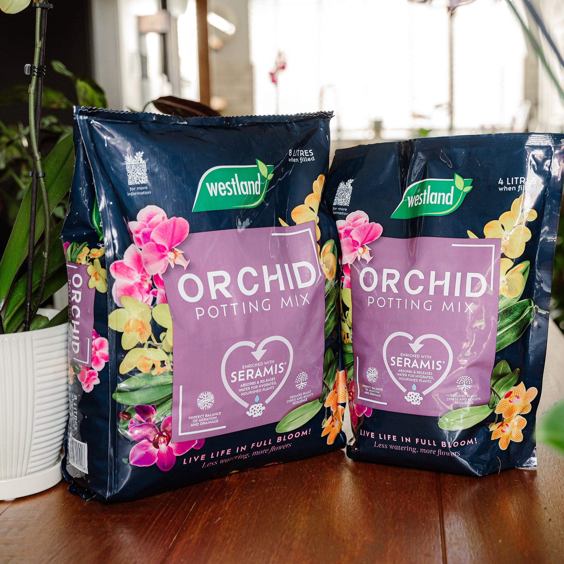 Westland Orchid Potting Mix 8L and Westland Orchid Potting Mix 4L on a wooden table