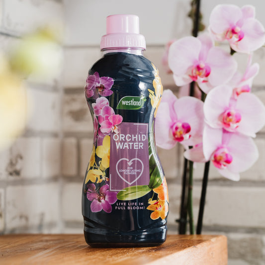 Westland Orchid Water 720ml