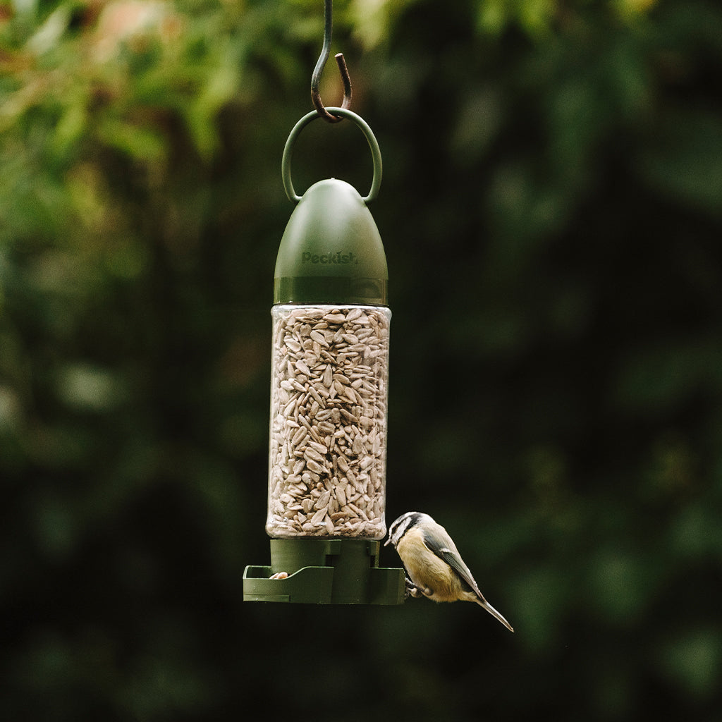 Peckish Sunflower Hearts Ready to Use Feeder 400g