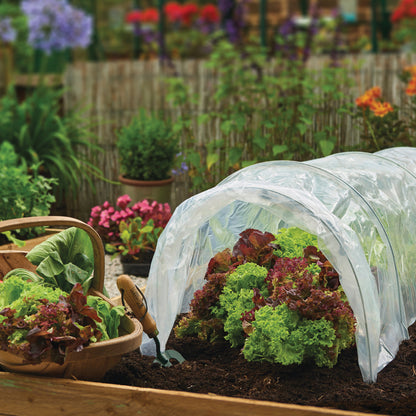 Grow It Polythene Grow Tunnel over some lettuce in a garden bed