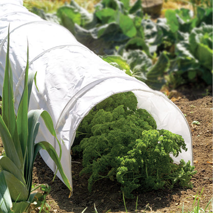 Grow It Polythene Grow Tunnel over some carrot plants in a garden bed