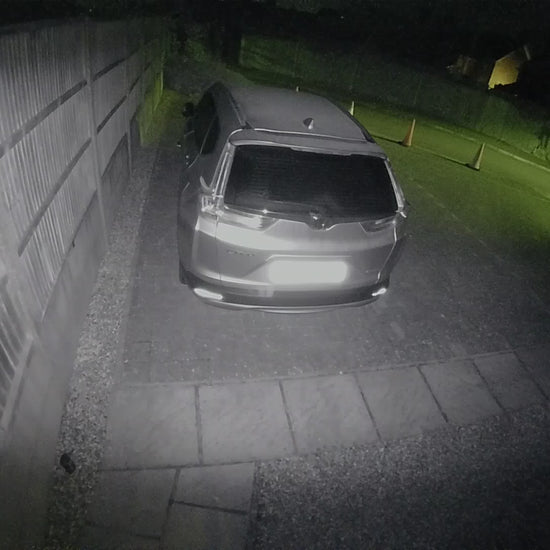 Video of cat deterrent in action