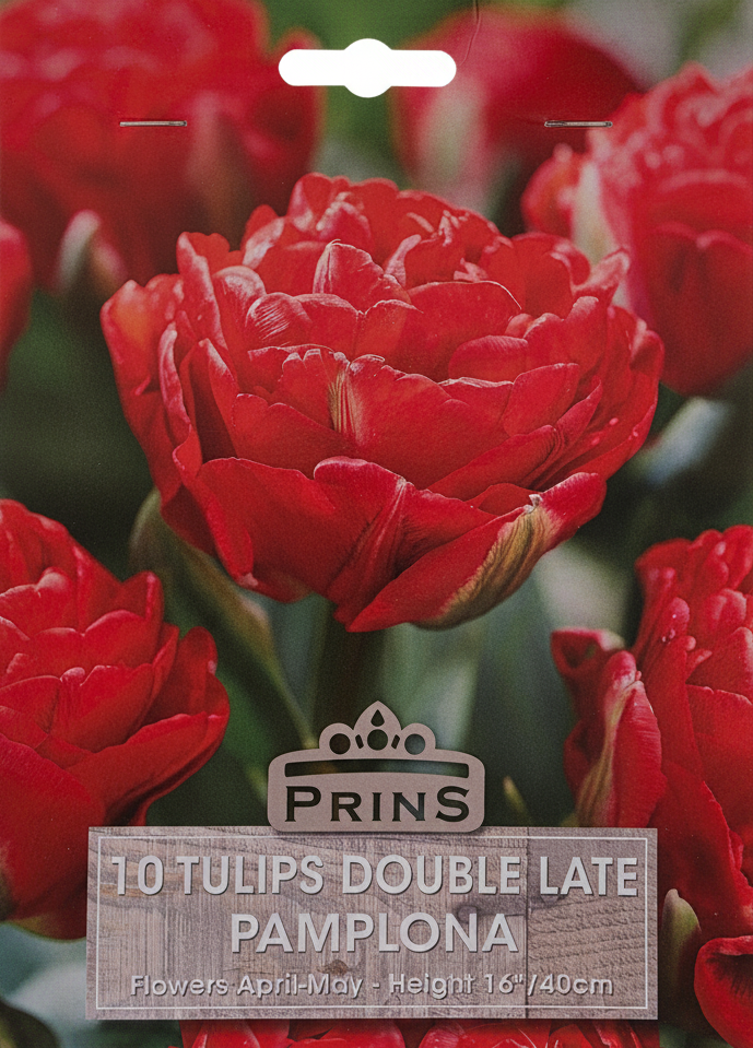 Prins 10 Tulips Double Late Pamplona - Stock Photo