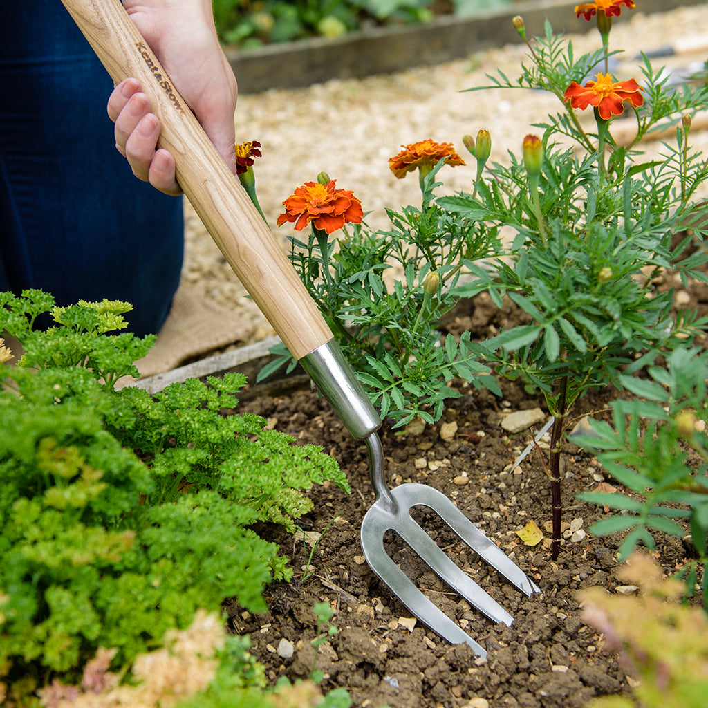 Kent & Stowe Stainless Steel Border Hand Fork digging soil in a garden bed