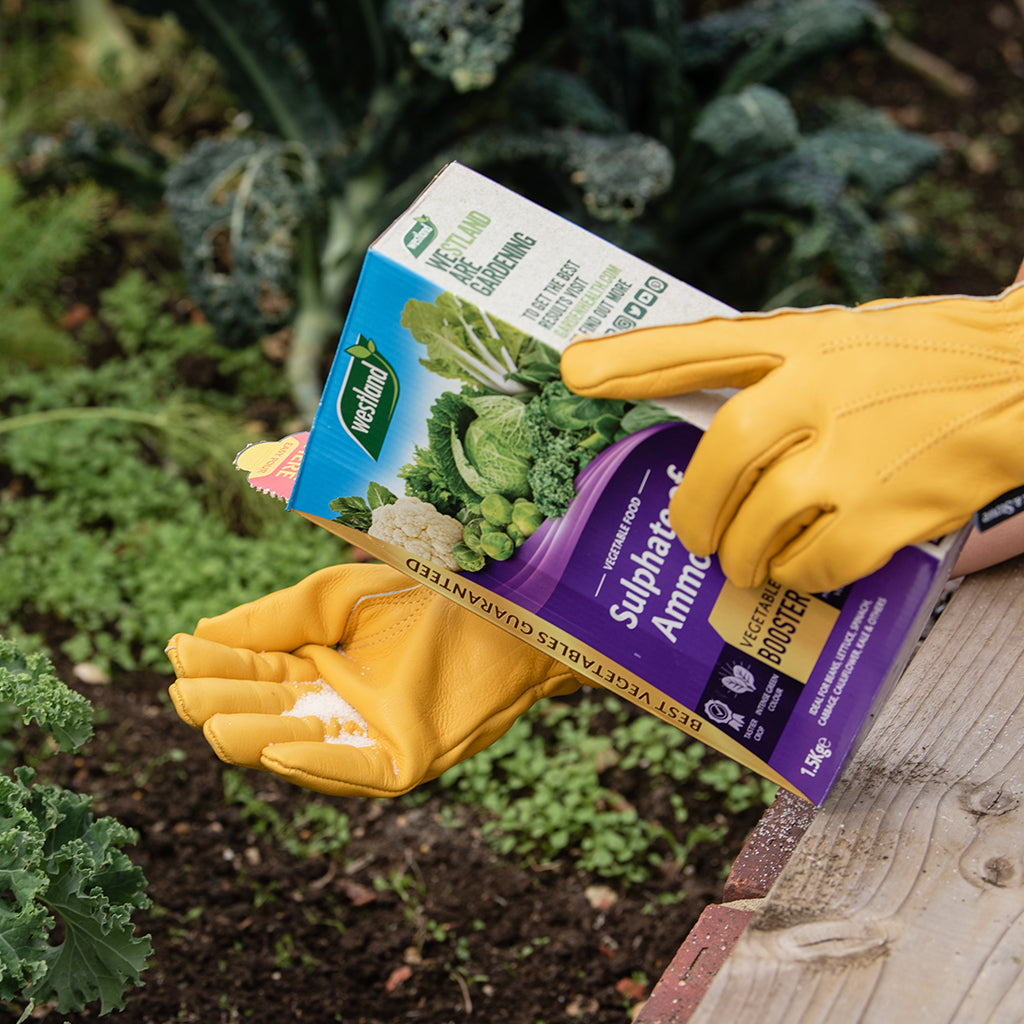 Person holding a box of fertilizer in a garden setting