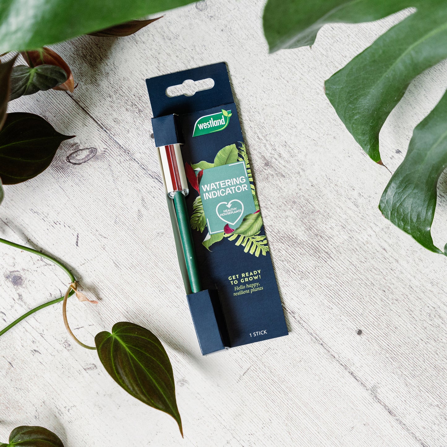 Westland watering indicator pen packaging on a light wooden surface with plant leaves.