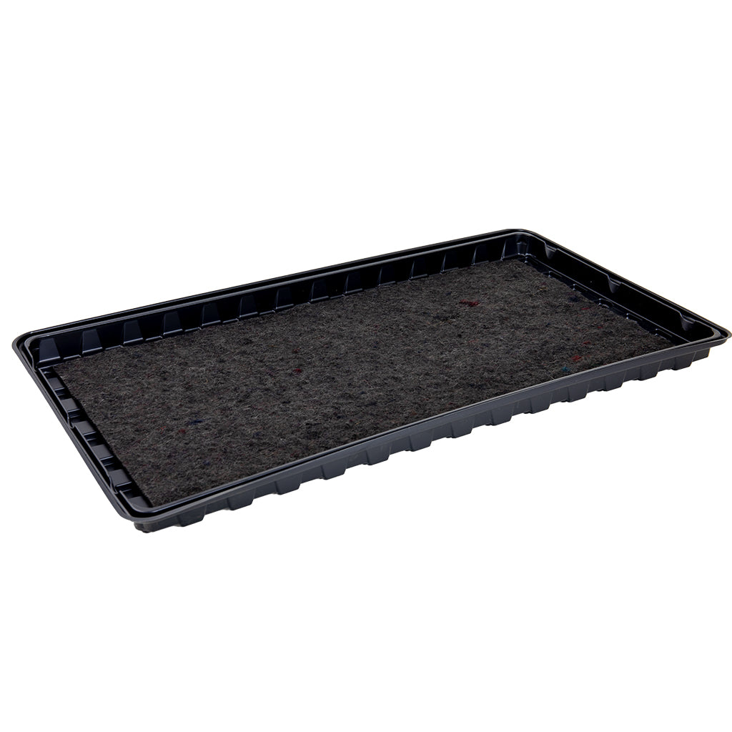 Grow It Watering Tray on a white background